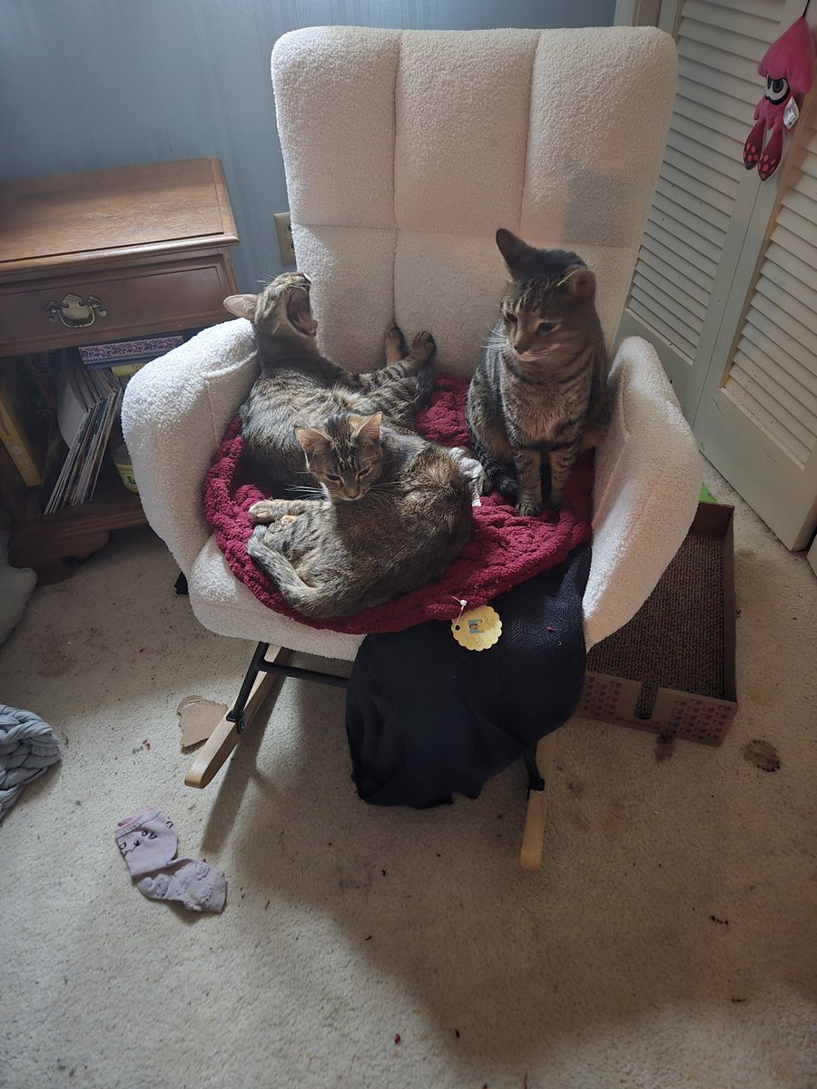 C4 💚💜❤️ tweet media