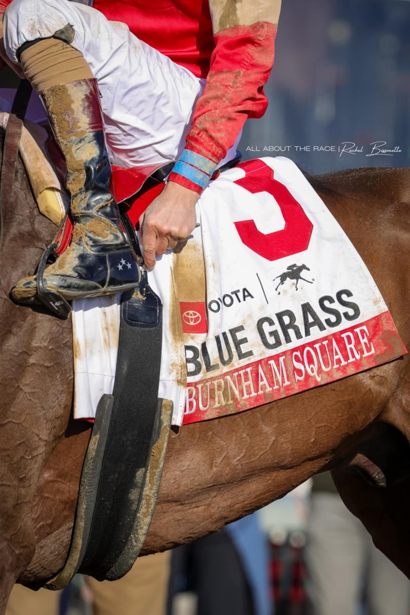 All About The Race (@allbouttherace) on Twitter photo Hard-earned dirt for Burnham Square and <a href="/b_hernandezjr/">Brian Hernandez</a>.
๐ธ: Rachel Bissonette Photography for All About The Race
#AllAboutTheRace #TheBusinessOfHorseRacing #WinYourRace #BluegrassStakes #Keeneland #KYDerby #Derby151 #KentuckyDerby #IanWilkes #BurnhamSquare #BrianHernandezJr Hard-earned dirt for Burnham Square and <a href="/b_hernandezjr/">Brian Hernandez</a>.
๐ธ: Rachel Bissonette Photography for All About The Race
#AllAboutTheRace #TheBusinessOfHorseRacing #WinYourRace #BluegrassStakes #Keeneland #KYDerby #Derby151 #KentuckyDerby #IanWilkes #BurnhamSquare #BrianHernandezJr