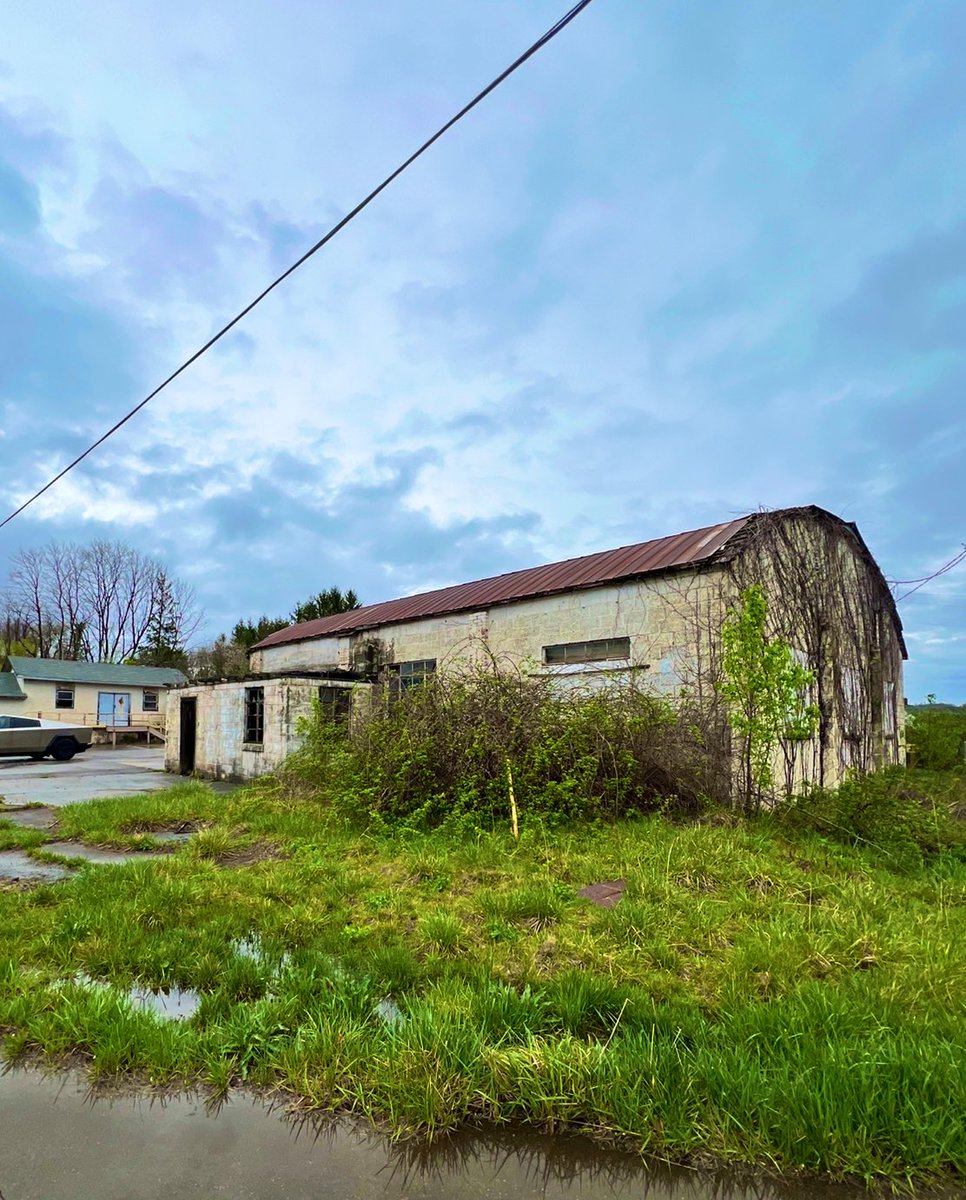 Whitters tweet media