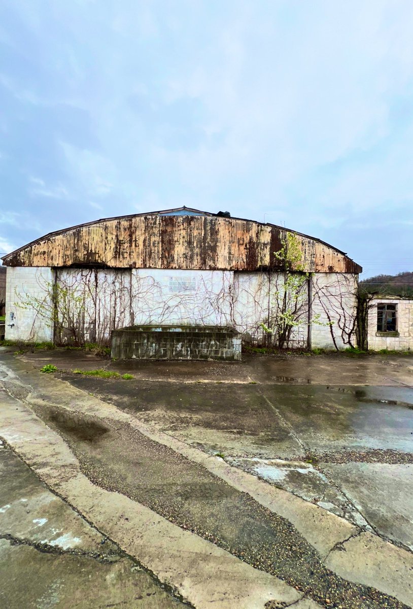 Whitters tweet media