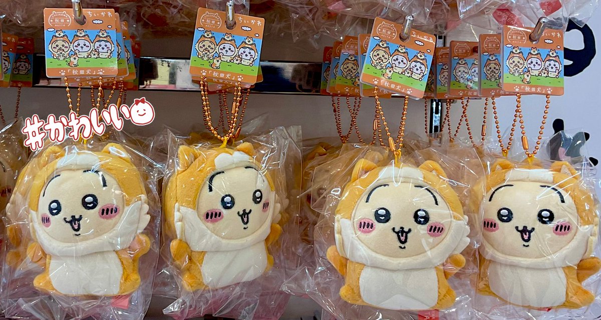 #ちいかわらんど仙台パルコ店 

🐶新商品入荷のお知らせ🐶

『秋田限定　ご当地 ぬいぐるみキーチェーン「秋田犬」 (うさぎ)』が入荷致しました🌟

※1会計につき1点までの購入制限がございます。

ご来店の際はぜひチェックしてくださいね✨
