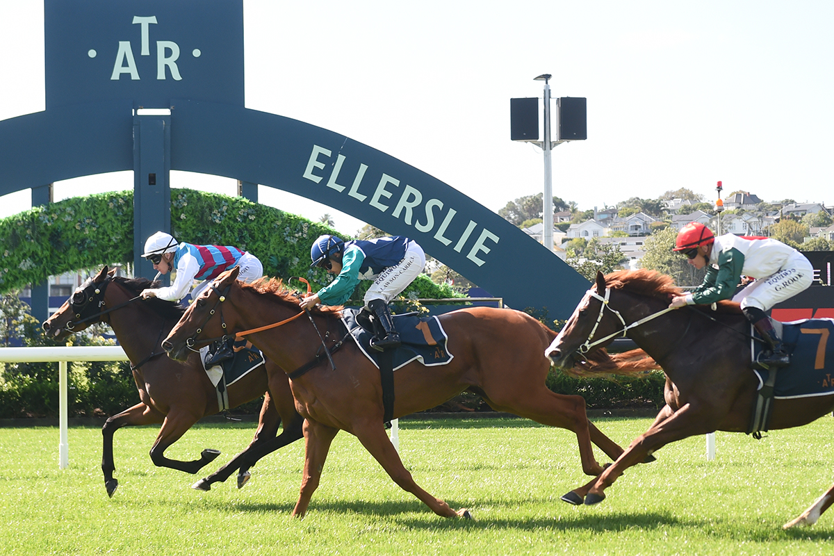 Brendon McCullum part owned Lotus downs favourite Golden Wings in the Auckland Co-Op Taxis 1200
<a href="/RRacingStables/">RICHARDSON RACING</a> <a href="/Bazmccullum/">Brendon McCullum</a>