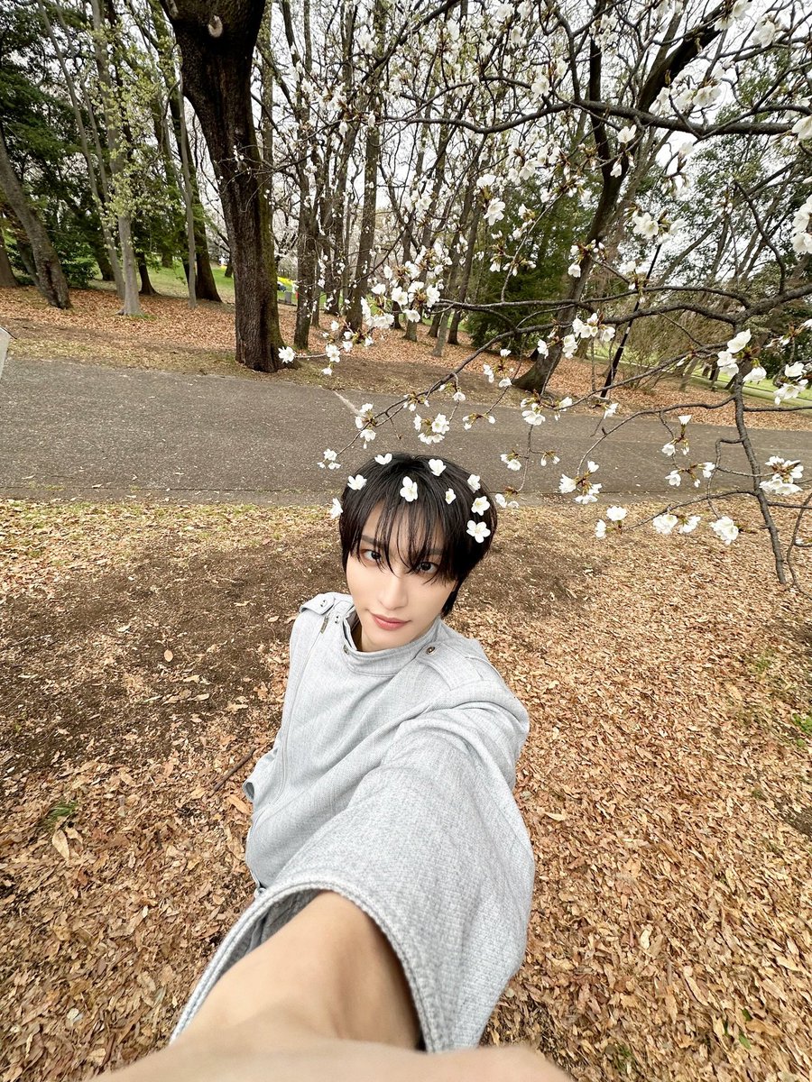 ambie ⭒˚.⋆ tweet media