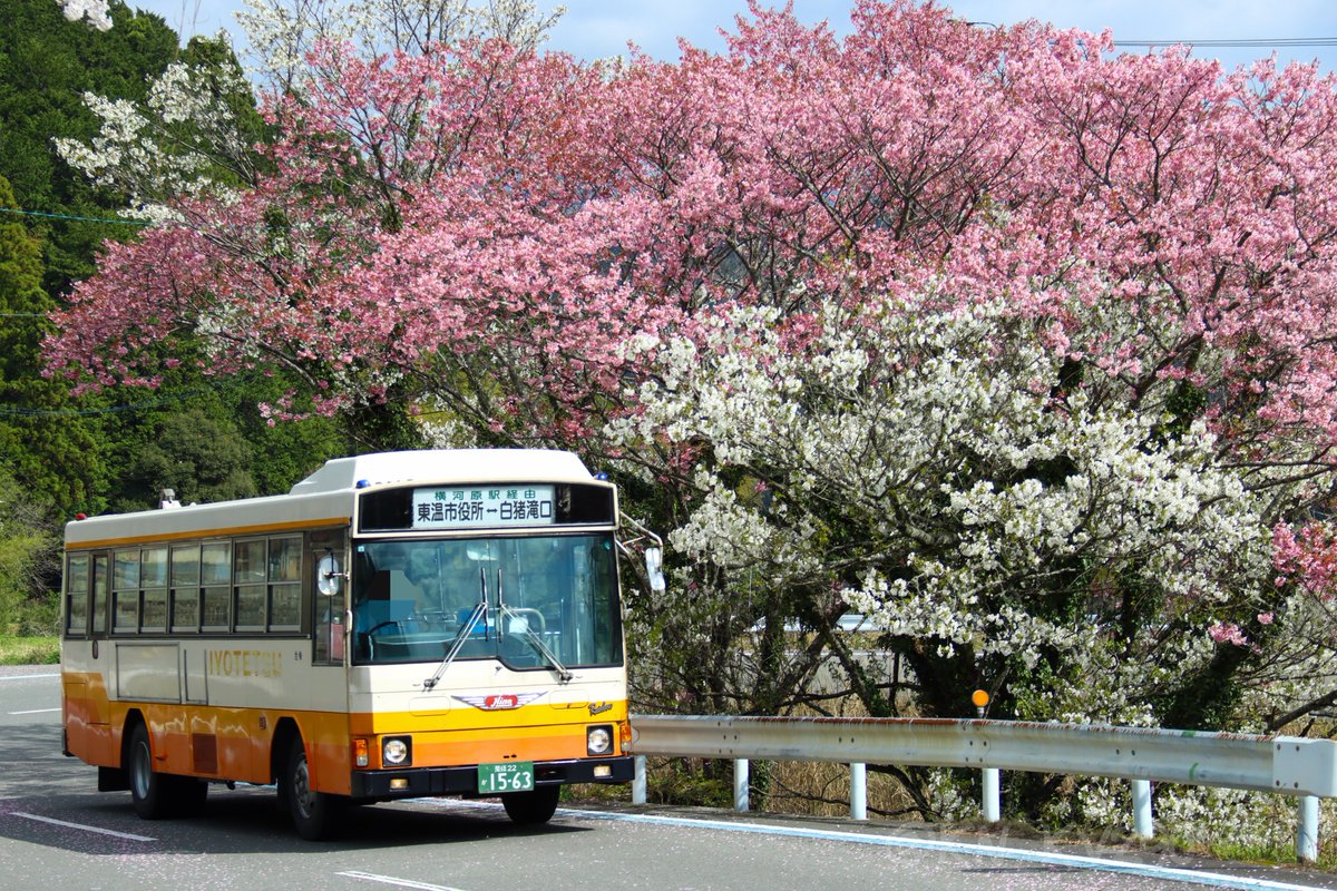 もこもこぶーつ (@mokomoko_boots) / Posts / X