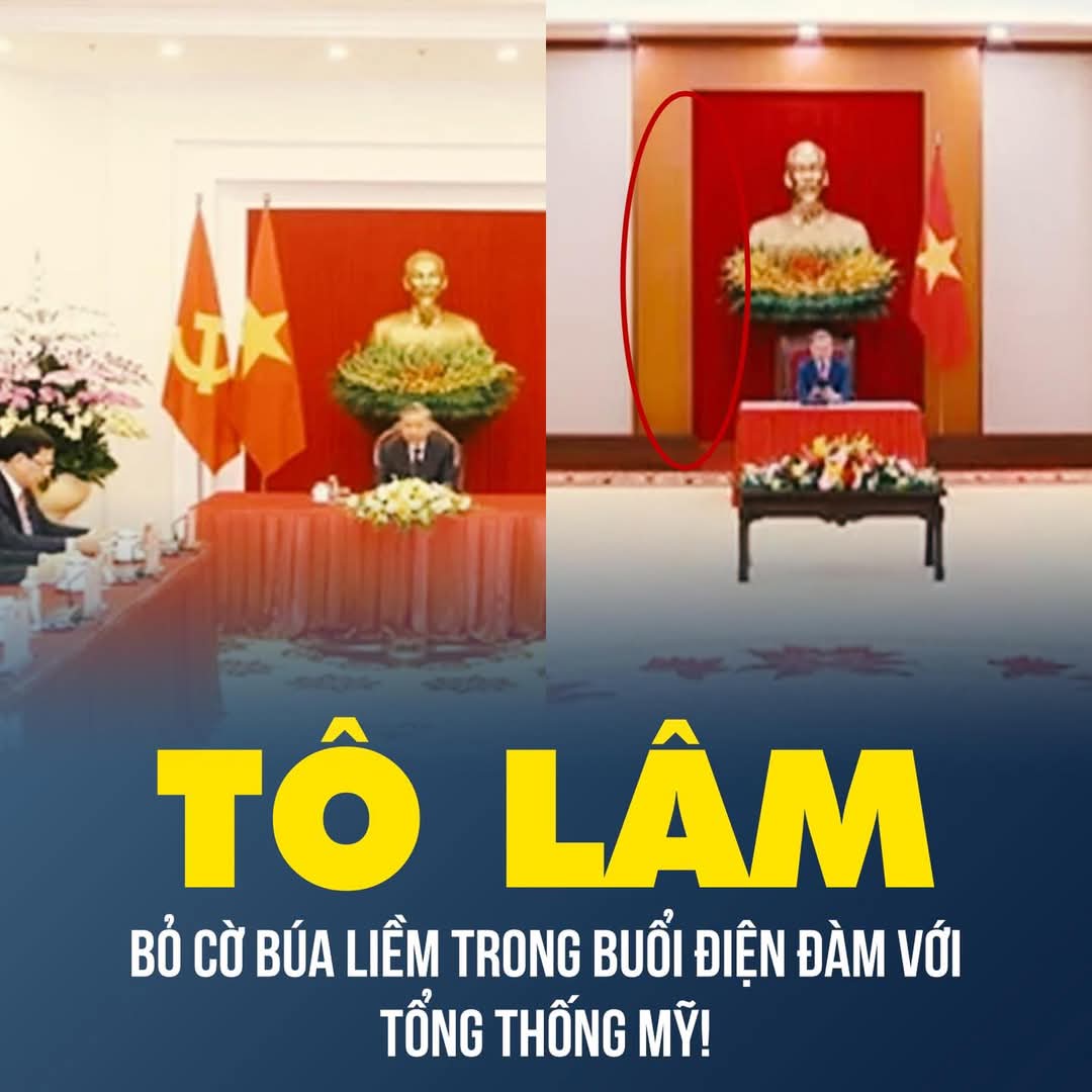 Tri Nguyen (Ông Tám) tweet media