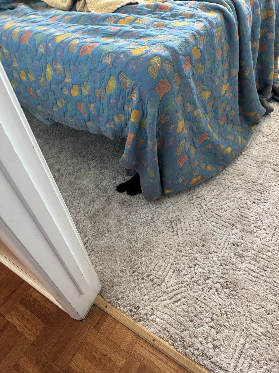 Hi <a href="/Thereisnocat_/">There is no cat in this image</a>