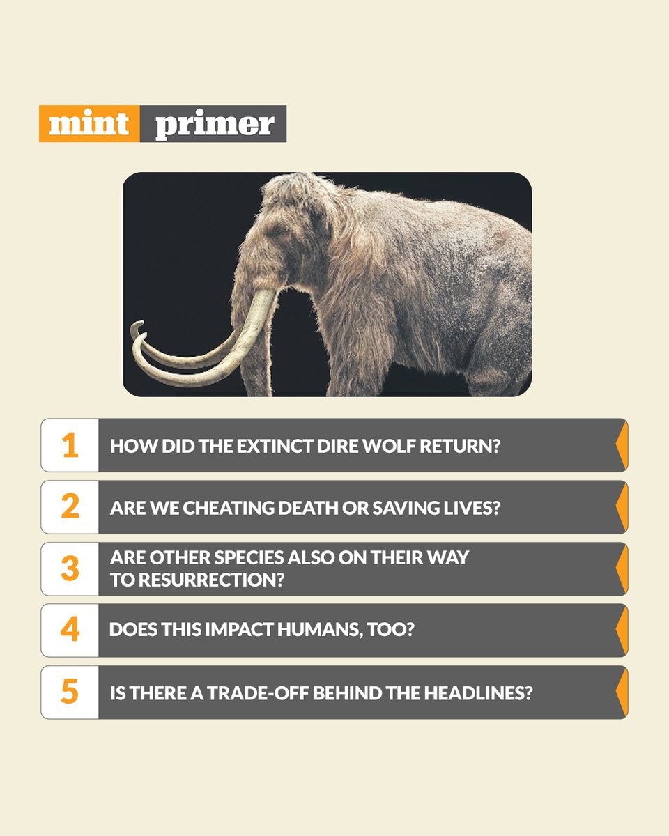 #MintPrimer | Scientists at Colossal used genetic reconstruction to recreate the long-extinct species—made popular by the HBO hit show, Game of Thrones.

Read more: tinyurl.com/5duah8m5

🚨 Important questions, ethically answered — subscribe to #MintPremium