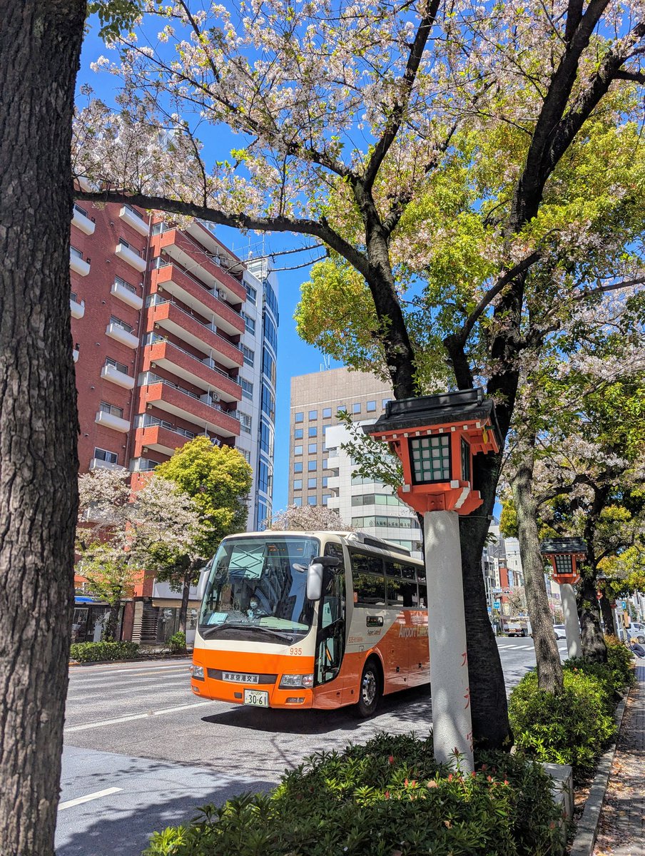 リムジンバス【公式】Airport Limousine Bus【東京空港交通