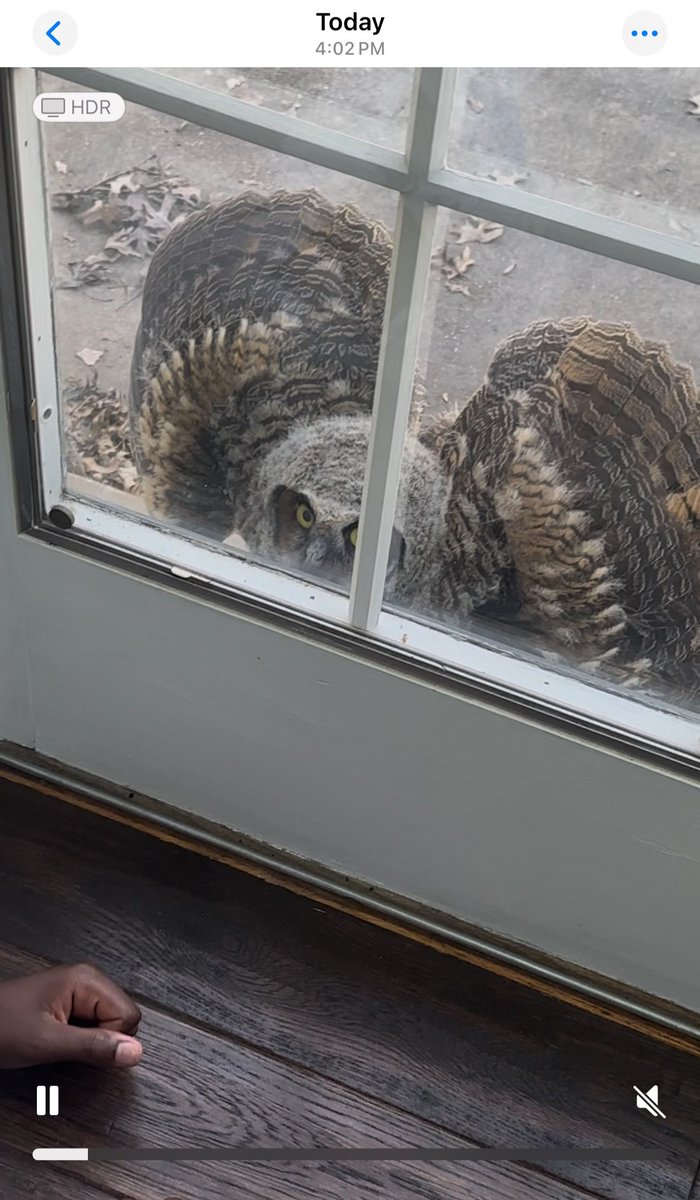 Stringz EMB tweet media