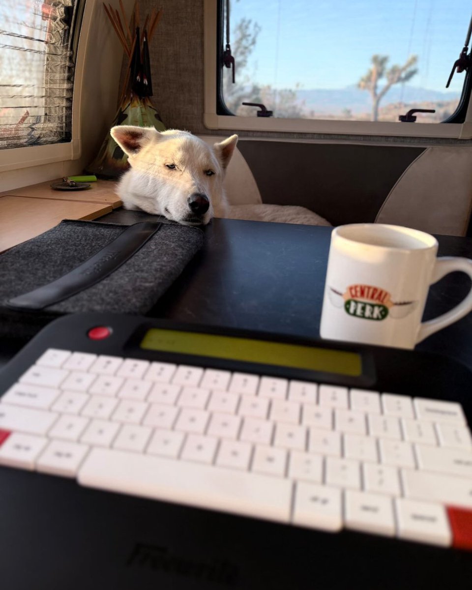 getfreewrite's tweet photo. Just FYI, we will never turn down photos of your furry cowriters. πΆ
π·: Lee John #FreewriteAlpha #writers #amwriting #dogstagram https://t.co/NXdO6gZi5N
