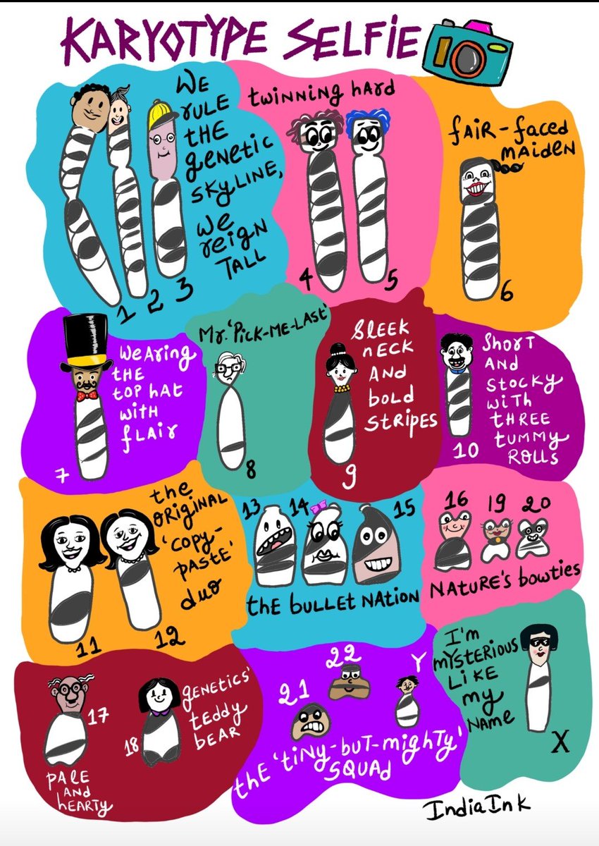 DNAwink's tweet image. i love reading karyotypes..

#cytogenetics
#chromosomes