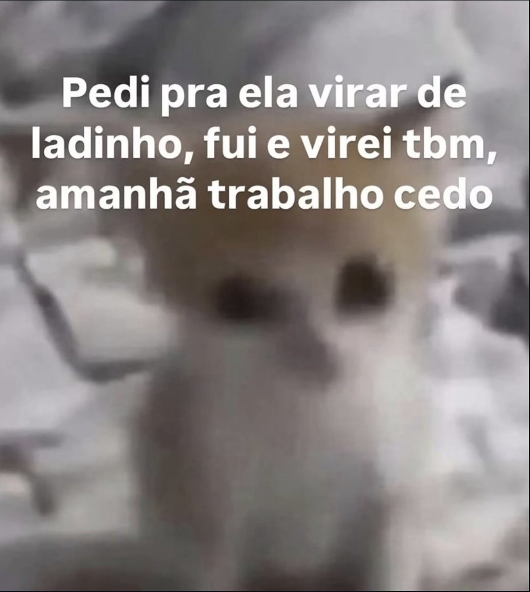 animaisfrases_'s tweet photo. https://t.co/Xz9384xylR