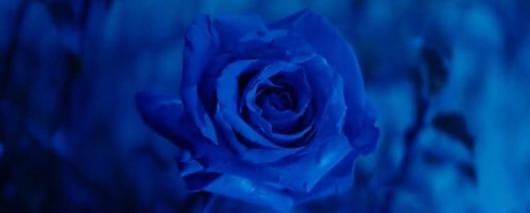 Daredevil Updates tweet media