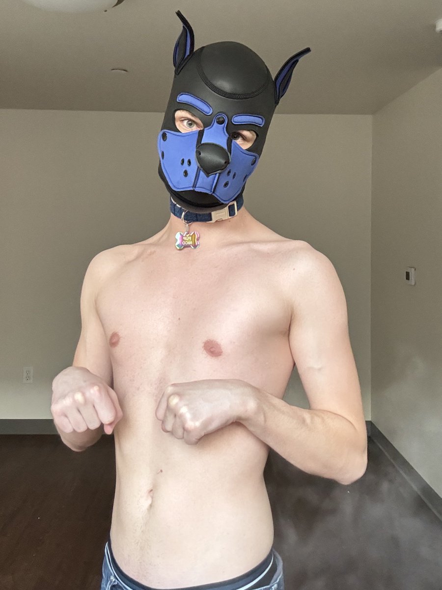 Nico ΘΔ 🍪 🔜 FWA, MP tweet media