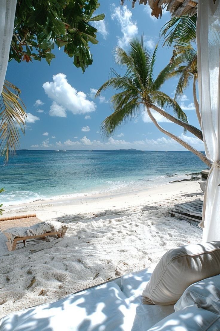 Aesthetics (@aestheticspost_) on Twitter photo 