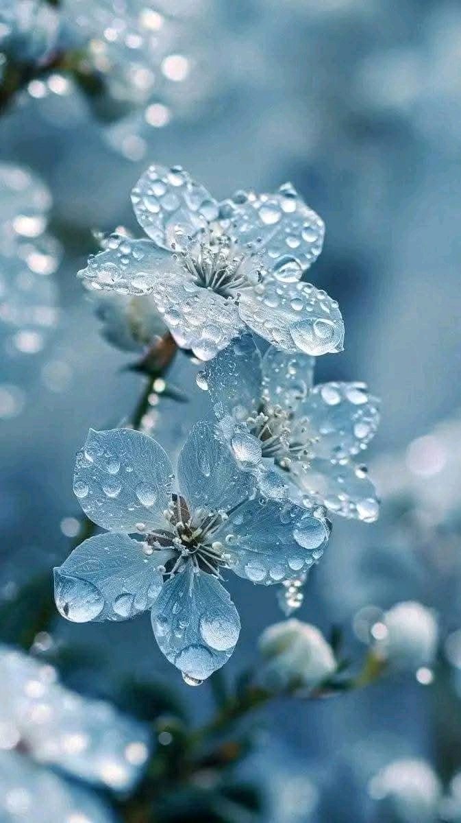 ᴛʀᴀꜰᴀʟɢᴀʀ.ᴅ.ʟᴀᴡ tweet media