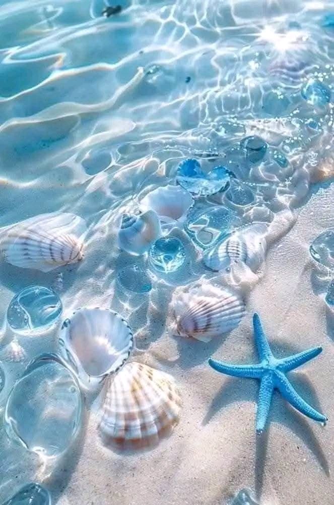 ᴛʀᴀꜰᴀʟɢᴀʀ.ᴅ.ʟᴀᴡ tweet media