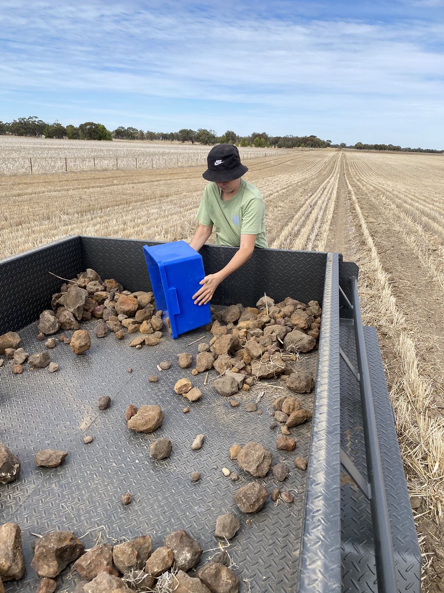 School holiday rock picking fun, amazing what they’ll do for Money 😏
