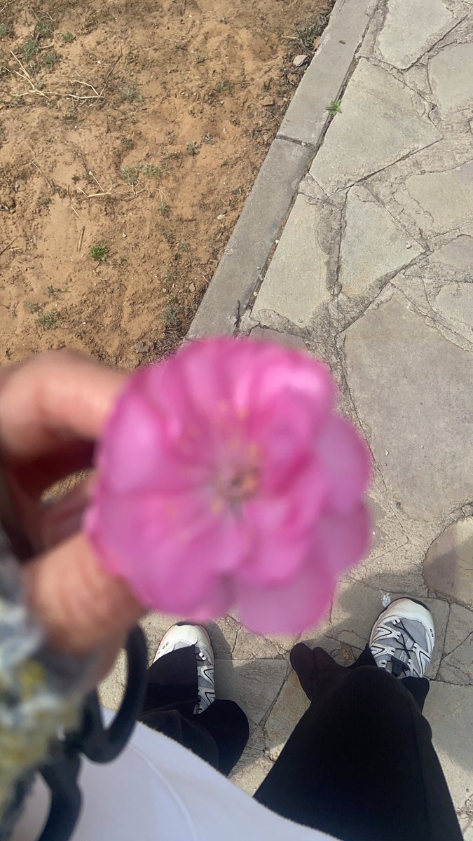 jinluperlayan's tweet image. The gentle breeze and blooming flowers create a charming spring.
Whatsapp: +86 15231539236
Wechat: 15231539236
Email: jinluts@gmail.com
#sandmakingmachine #limestone #machinemadesand #constructionsand #sandmakingmachinemanufacturer #sandmakingproductionlinefactory