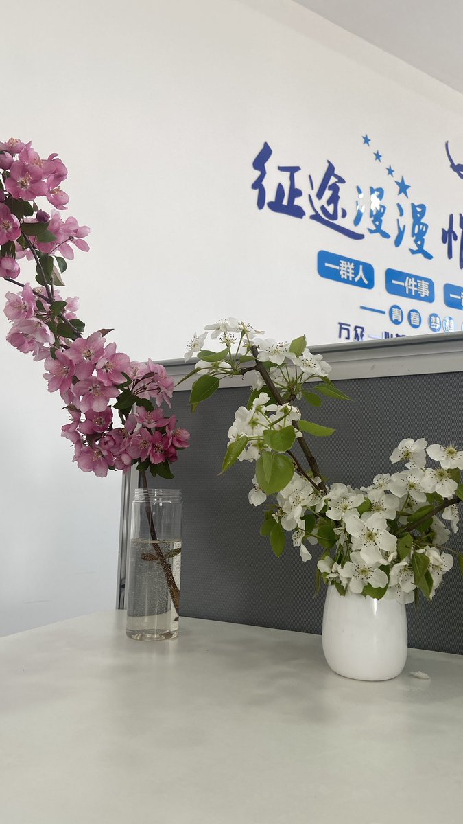 jinluperlayan's tweet image. The gentle breeze and blooming flowers create a charming spring.
Whatsapp: +86 15231539236
Wechat: 15231539236
Email: jinluts@gmail.com
#sandmakingmachine #limestone #machinemadesand #constructionsand #sandmakingmachinemanufacturer #sandmakingproductionlinefactory