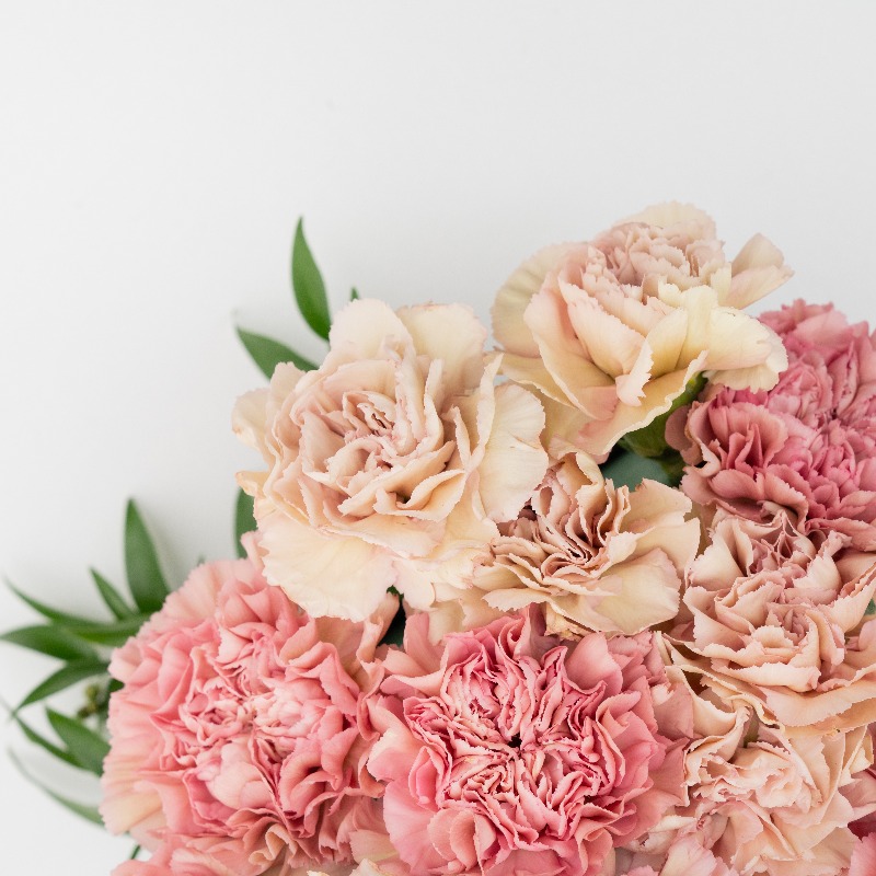eflora_official's tweet photo. 今月の誕生花はカーネーション💐

4月生まれの皆様、お誕生日おめでとうございます🎉素敵な1年になりますように。。。

4月の誕生花はカーネーションです。大人っぽい色合いから元気が出るような鮮やかな色合いまでたくさんのカラーバリエーションがあります、きっとお気に入りが見つかるはず🎵