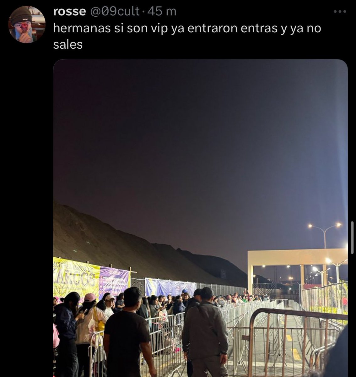 tenderquokka's tweet photo. ya me resigné a no estar en primera fila, genuinamente les pregunto si ustedes no tienen vida???????????? SON VIP, LA NECESIDAD DE ESPERAR TODA UNA NOCHE?????? https://t.co/KkdZ4bbjWT