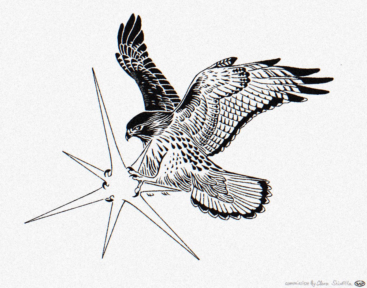 binary sunrise tweet media