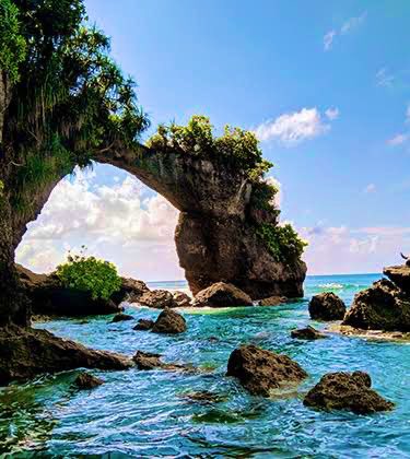 📍Bharatpur Beach 🏖️,Neil Island India 🇮🇳