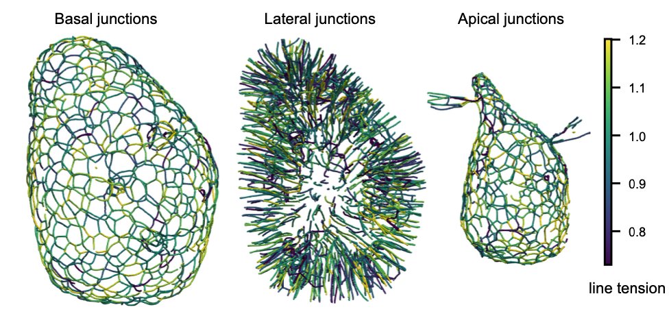 Oliver Drozdowski tweet media