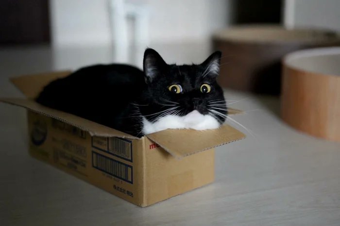 В коробочке