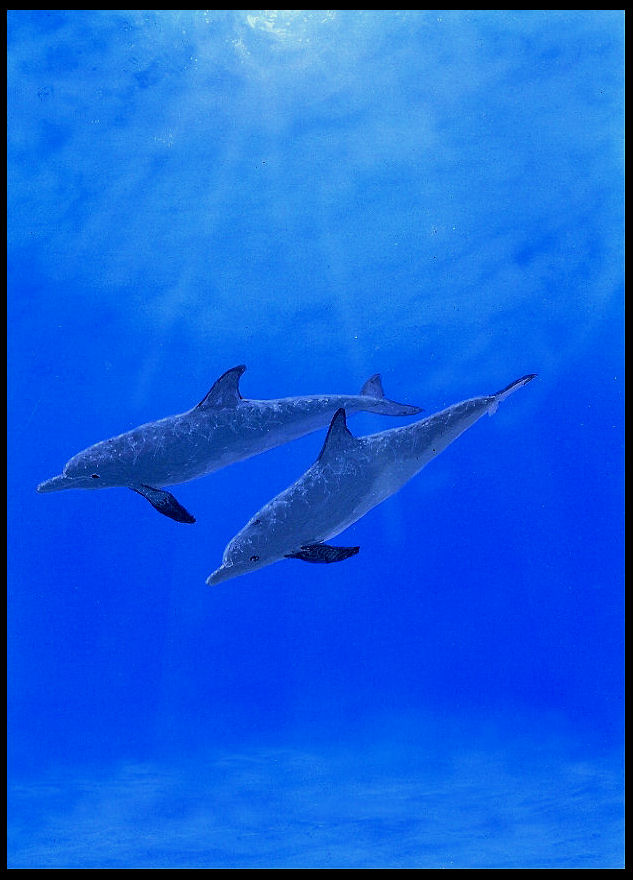 Bob St-Clar tweet media