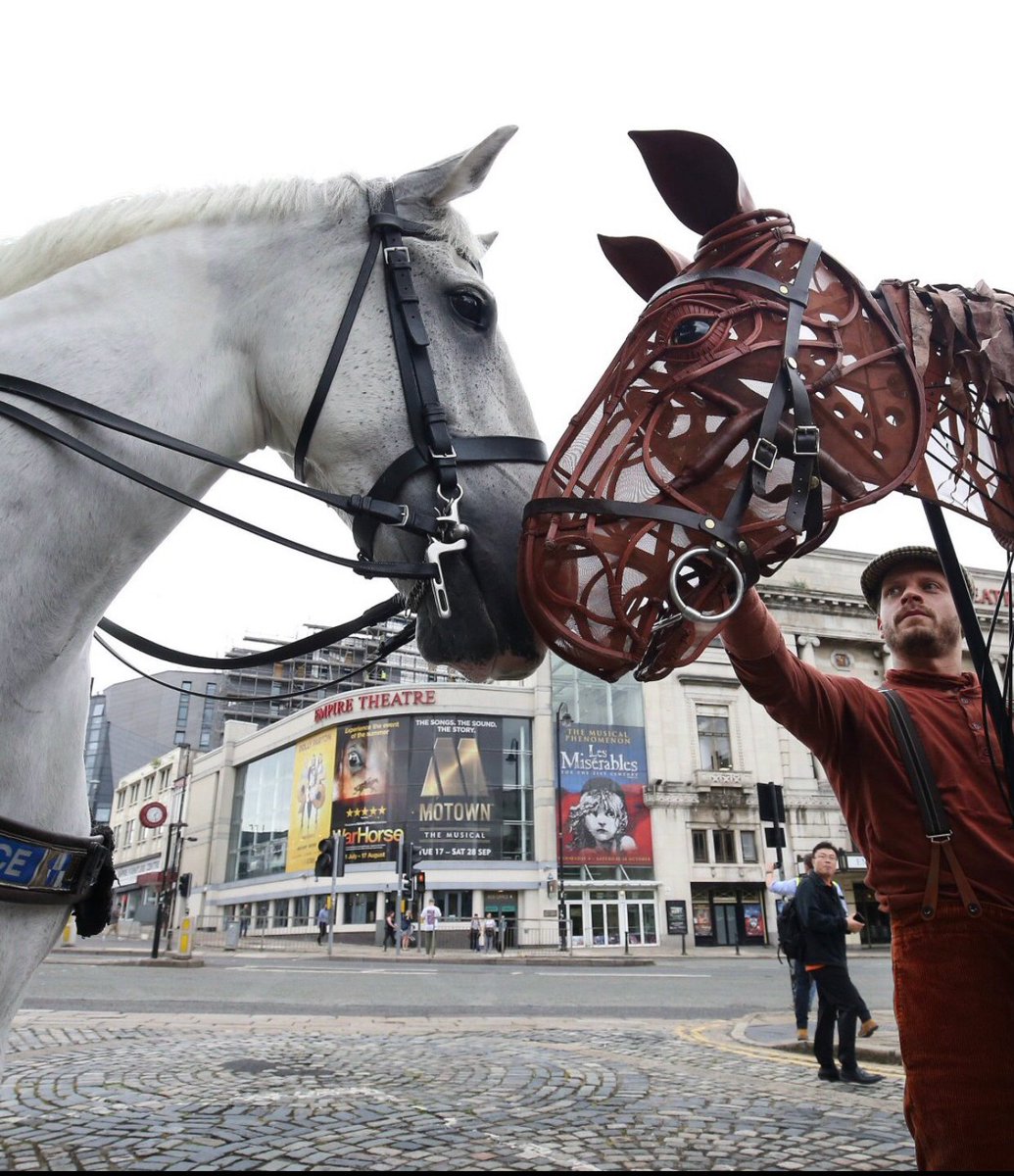 MerPolMounted's tweet image. As War Horse is back in Liverpool for the next few weeks I thought I would repost the photographs of Silver and Jake meeting Joey outside The Liverpool Empire in 2019 while out on a patrol.
#StandTall #PHSilver #PHJake #WarHorseOnStage
@WarHorseOnStage @LiverpoolEmpire