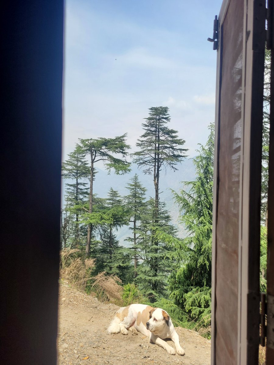 View from my window. 🤩