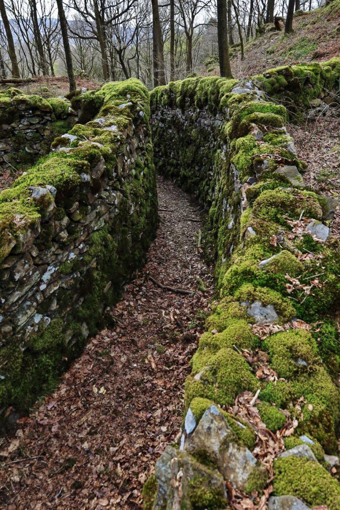 LadyLeo1976's tweet photo. Dry Stone Passage created by Richard Harris-Low & Mike Bowerback 1982. The Silurian Way, Grizedale Forest. Cumbria
"My aim is to present people with something that seems to 'belong', yet which is outside their normal experience “
#WitchWay Looks like it’s always belonged 💚 https://t.co/czT42iGpss