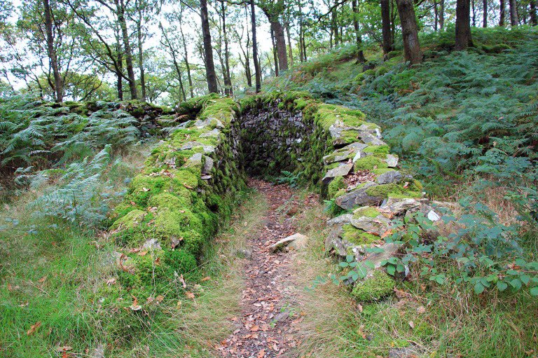 LadyLeo1976's tweet photo. Dry Stone Passage created by Richard Harris-Low & Mike Bowerback 1982. The Silurian Way, Grizedale Forest. Cumbria
"My aim is to present people with something that seems to 'belong', yet which is outside their normal experience “
#WitchWay Looks like it’s always belonged 💚 https://t.co/czT42iGpss