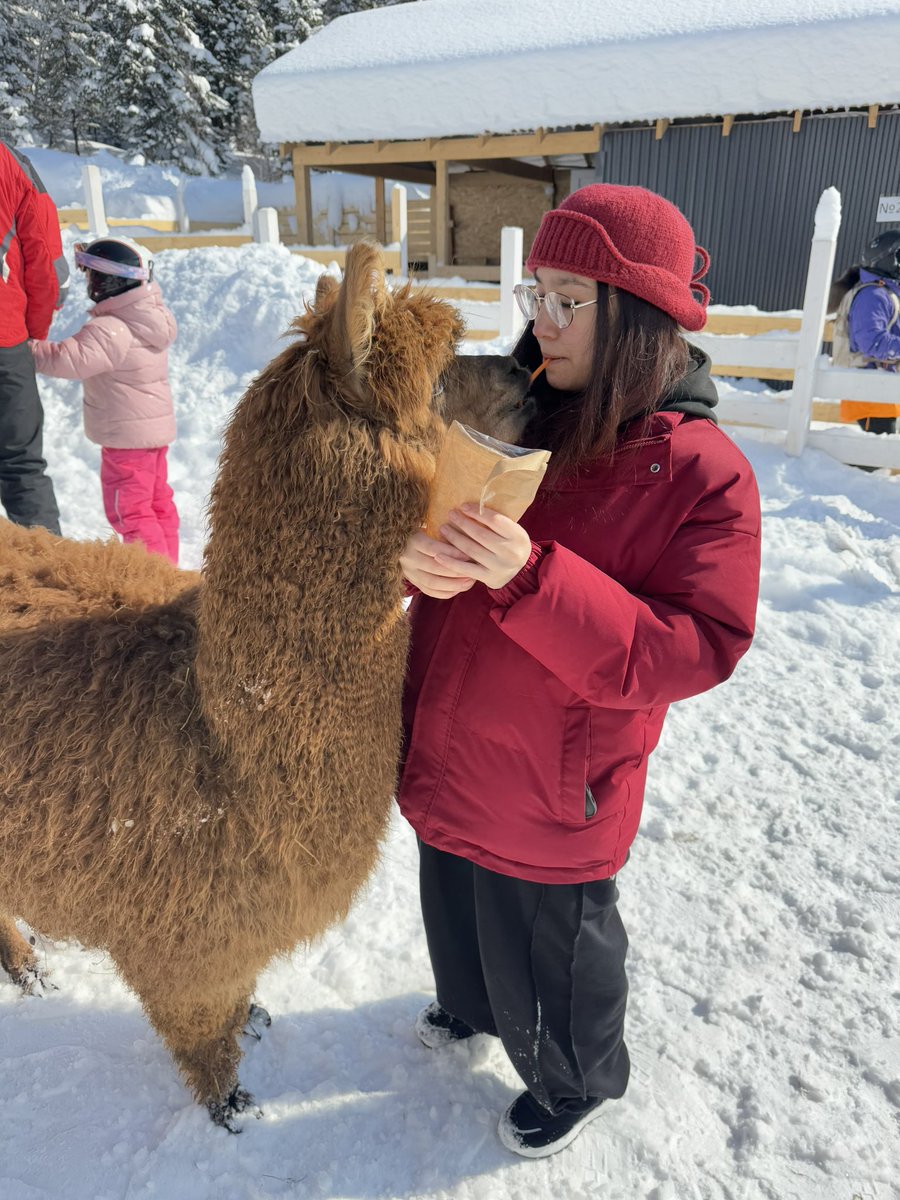 pappilonnn's tweet image. Это я в Шерегеше🙂 в середине марта (было классно,одного дня не хватило вообще)
(Буду по тихой делать тут воспоминания)