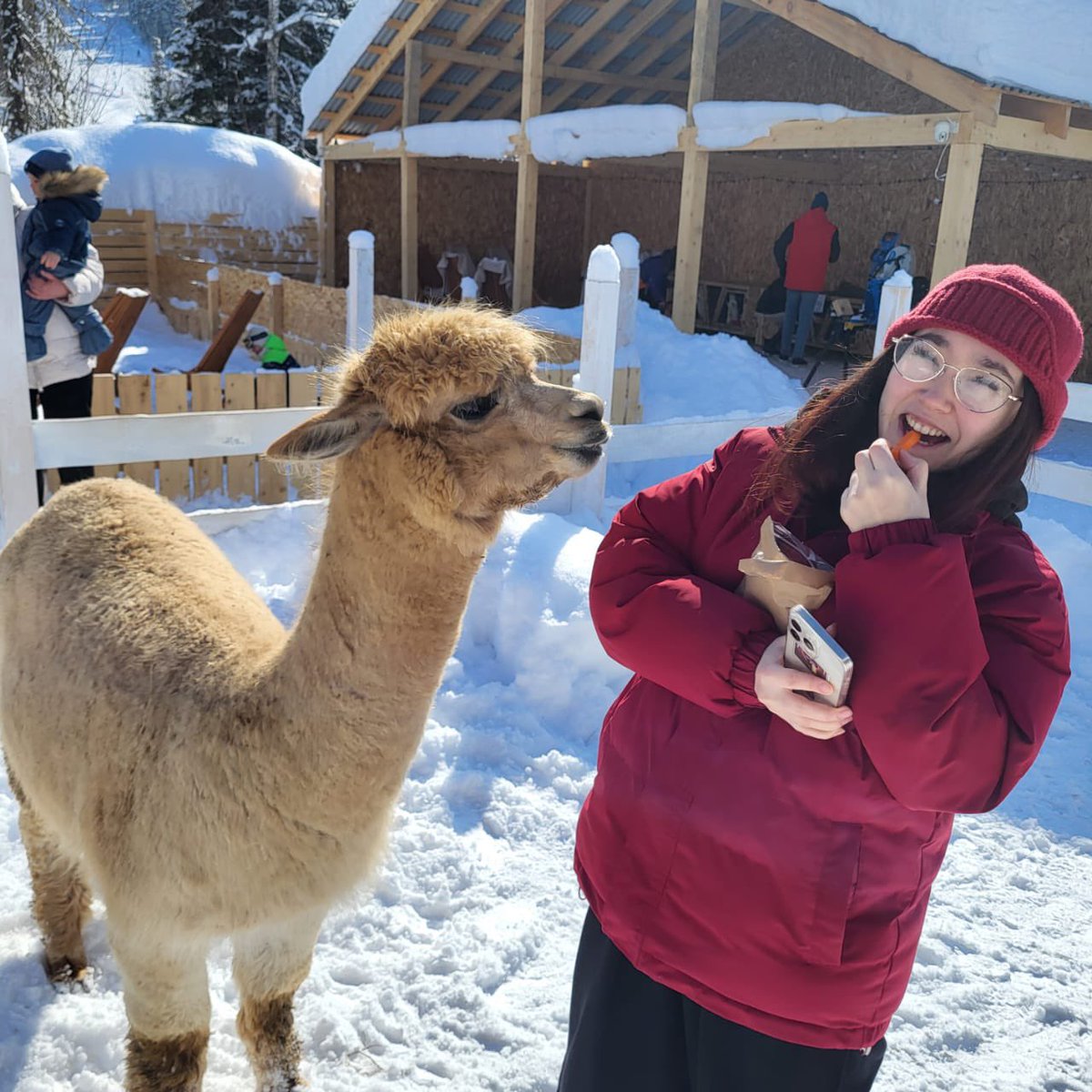 pappilonnn's tweet image. Это я в Шерегеше🙂 в середине марта (было классно,одного дня не хватило вообще)
(Буду по тихой делать тут воспоминания)