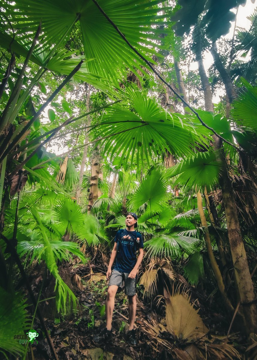 jimielorde's tweet photo. The memories of the climb will stay with me forever. https://t.co/Tkw2q5OBoB