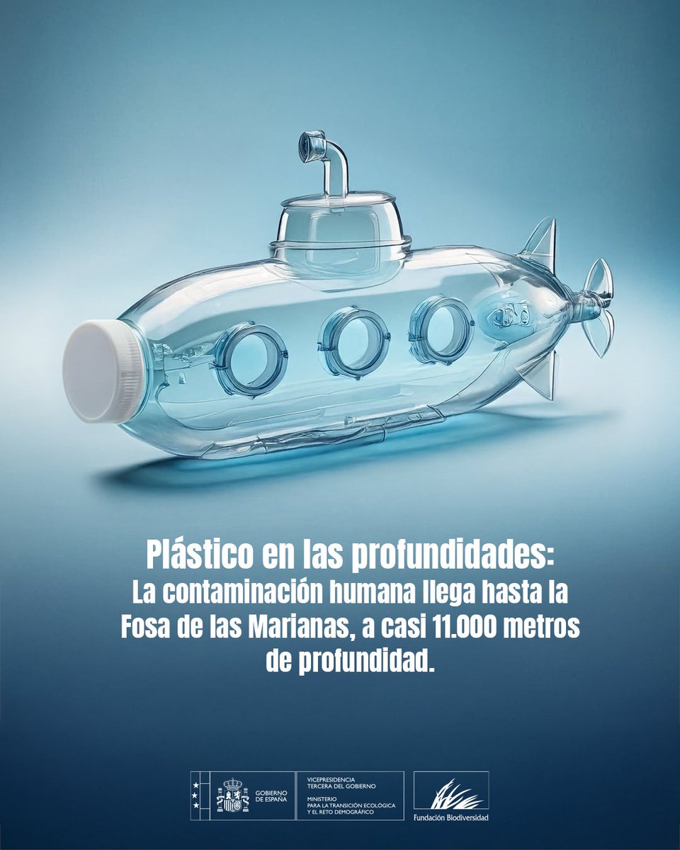 Hemos llevado plástico a los rincones más remotos del planeta: cimas nevadas, selvas inexploradas, islas deshabitadas… y hasta las profundidades del océano.

No hay lugar tan lejano que escape a nuestra huella 🌍🧴