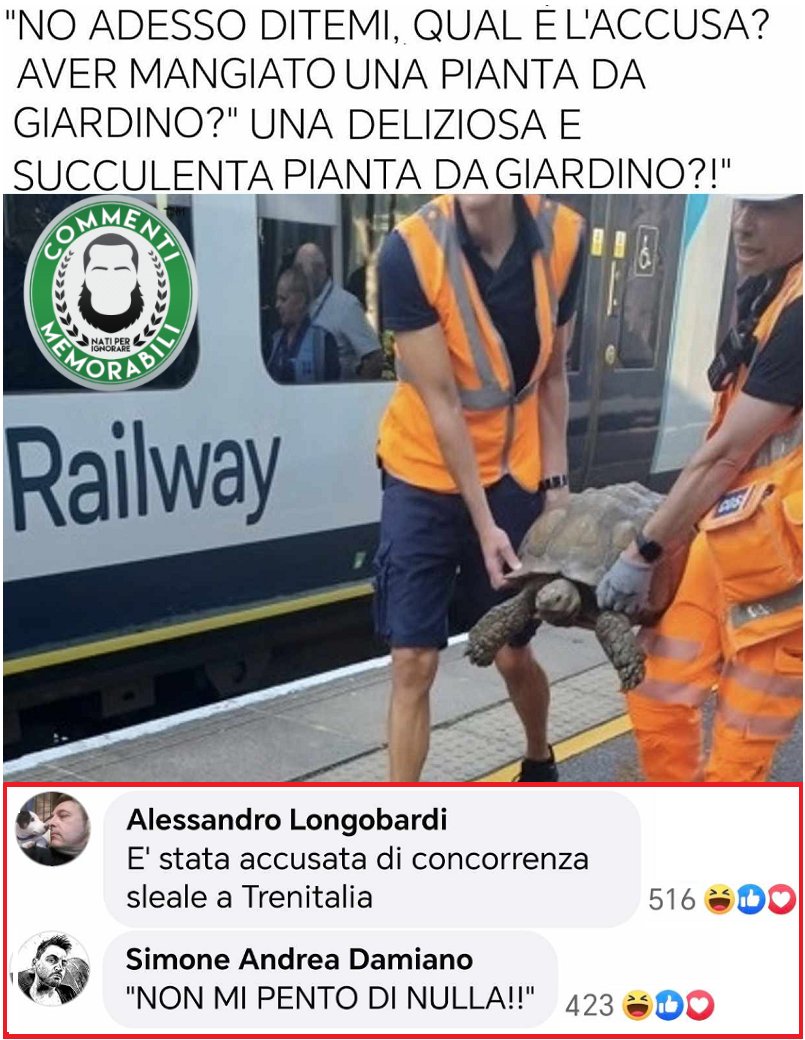 "Tartarugm ingiustament' incarcerata". [Semi-Cit.] #commentimemorabili #trasporti #continuatevoi