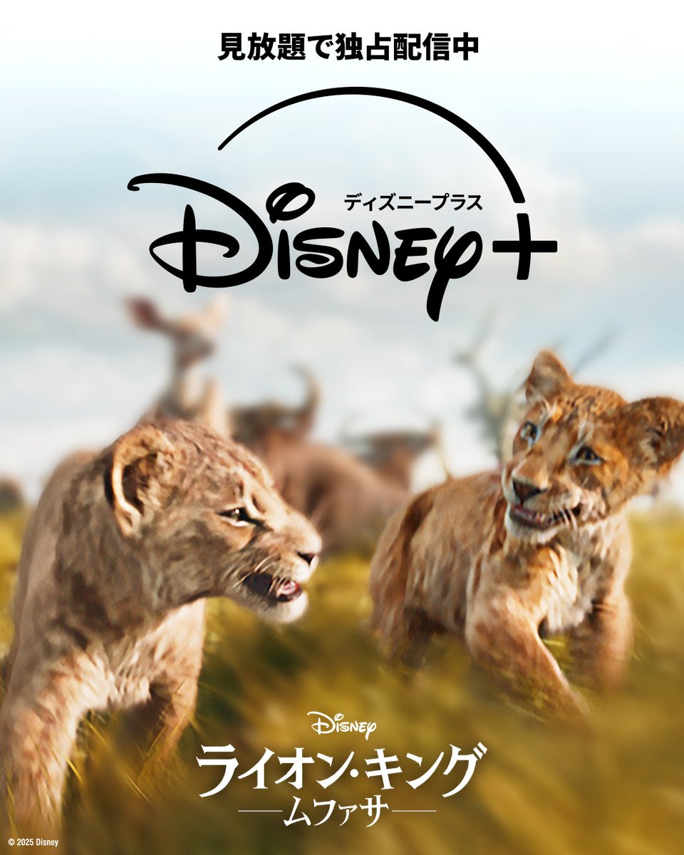 ムファサ様 ムファサ｜超実写映画『ライオン・キング：ムファサ