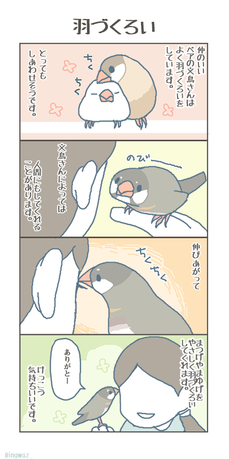 羽づくろい(再掲)

#漫画が読めるハッシュタグ #Buncho #文鳥 