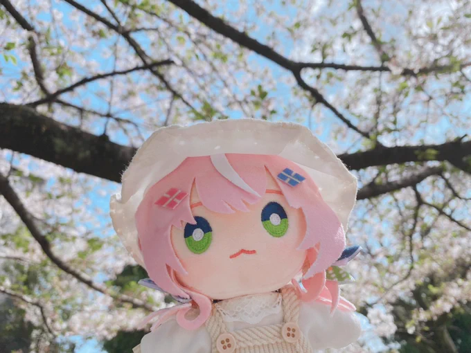 お花見してきた〜! #うちのまおさま 