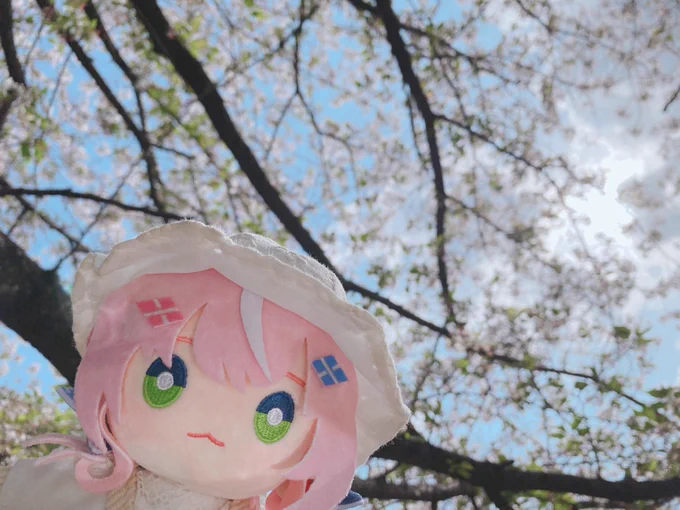 お花見してきた〜! #うちのまおさま 