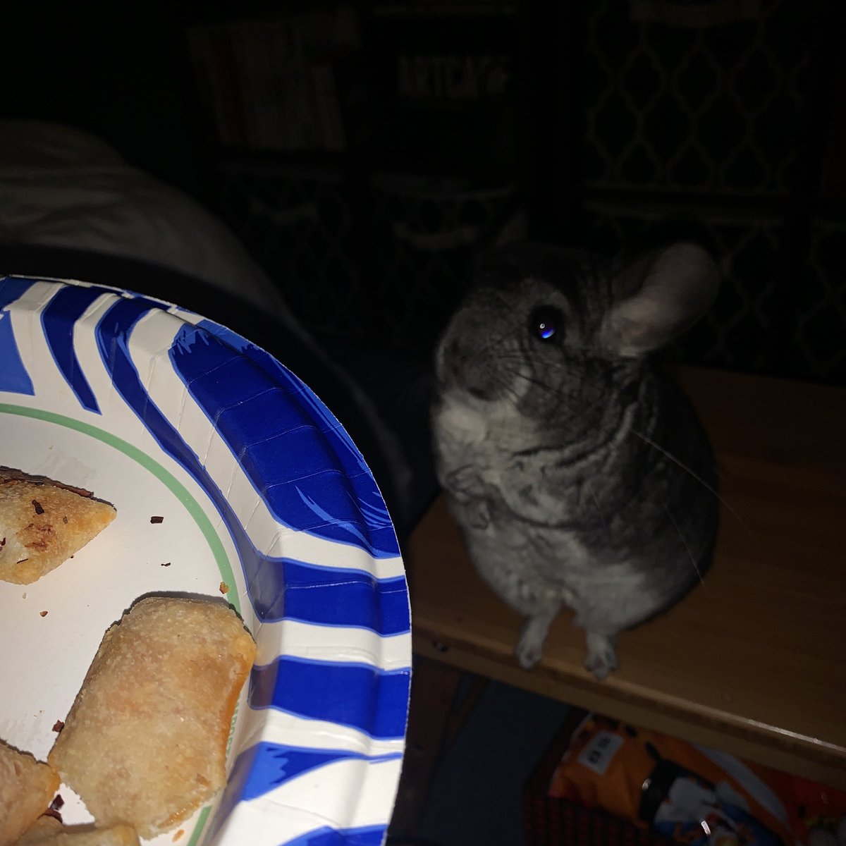 pbpanicbutton's tweet image. la criatura