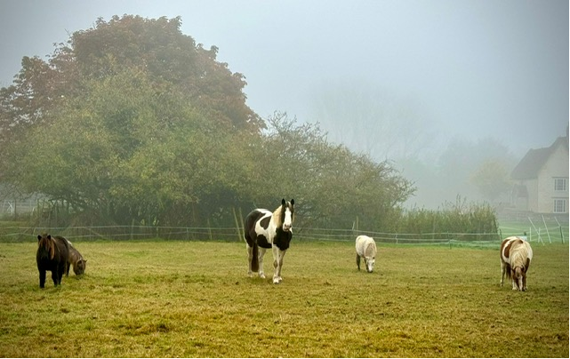 ECG_Clair tweet media