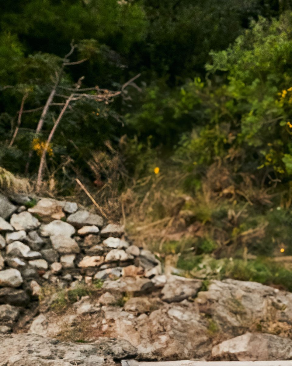 MOU_OFFICIAL_'s tweet photo. Live Simply. Love Nature #mou https://t.co/1XfaZCcRud