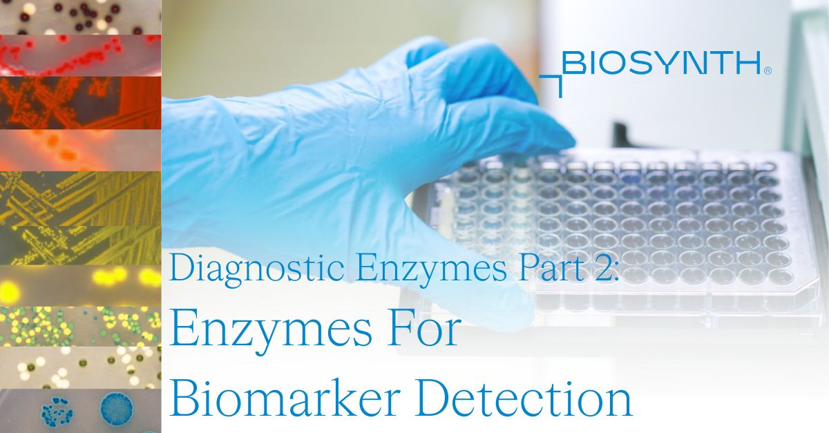 BiosynthGroup's tweet image. In Part 2 of our blog series, we dive into how #enzymes are driving #innovation in #biomarkerdetection—bringing reliability, specificity, and versatility to the forefront of #diagnostics.

Read the full blog here tinyurl.com/2svz59fd

#LifeSciences #ELISA #Biosensors #biotech