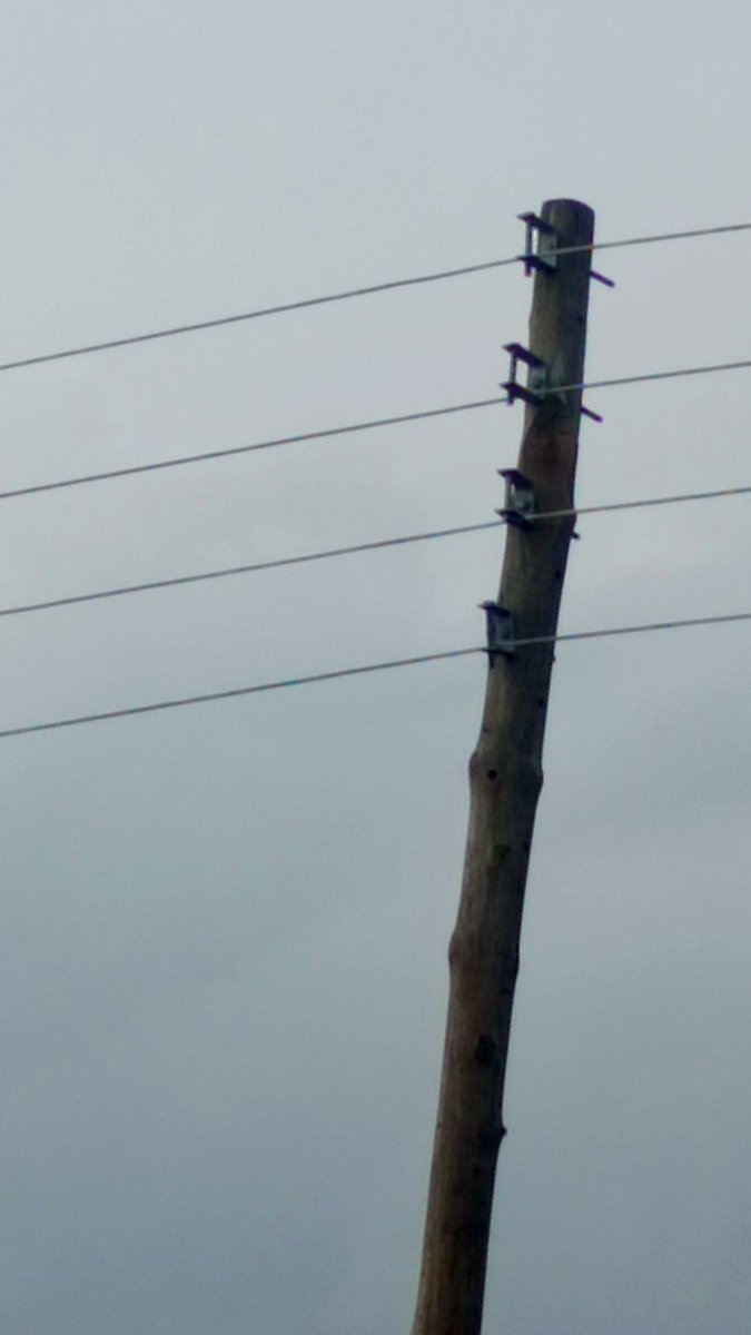 GekWonder's tweet photo. This is Ghana. Even when it is not safe, they will say we are managing... 

Someone should ask ECG for me, is this thing safe? @barkervogues https://t.co/kcMsDLFmpd