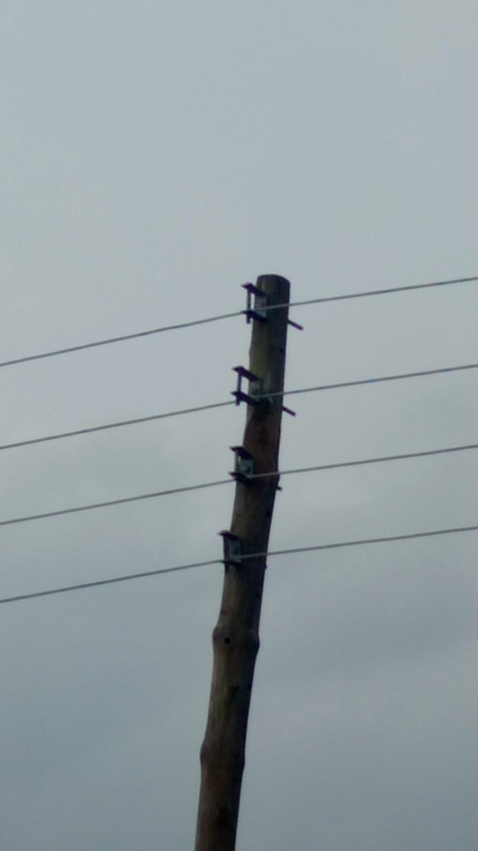 GekWonder's tweet photo. This is Ghana. Even when it is not safe, they will say we are managing... 

Someone should ask ECG for me, is this thing safe? @barkervogues https://t.co/kcMsDLFmpd